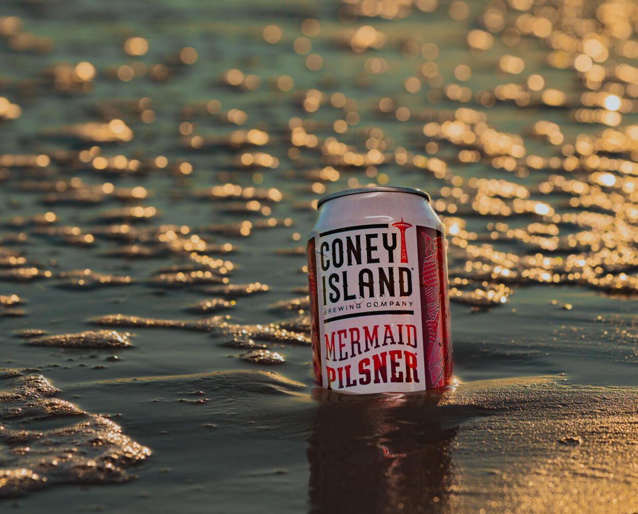 can of mermaid pilsner on the beach in the water