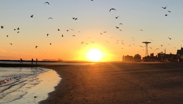 BEACH SUNSET