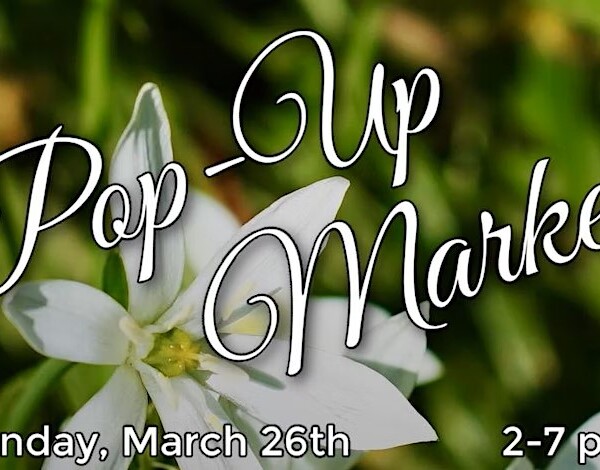 SPRING MARKET GRAPHIC